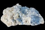 Blue, Cubic Fluorite Crystal Cluster - New Mexico #100989-2